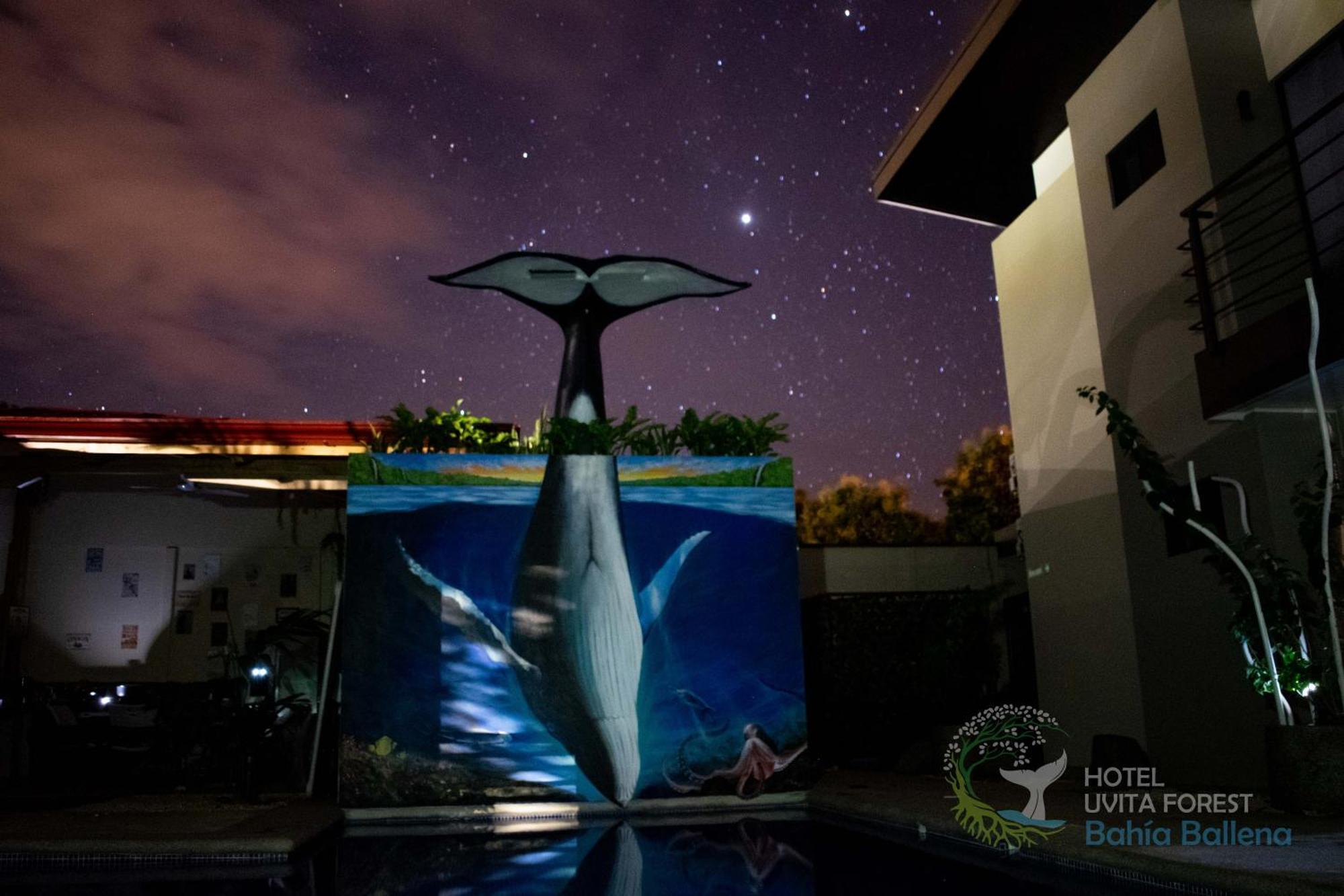 Hotel Uvita Forest Bagian luar foto